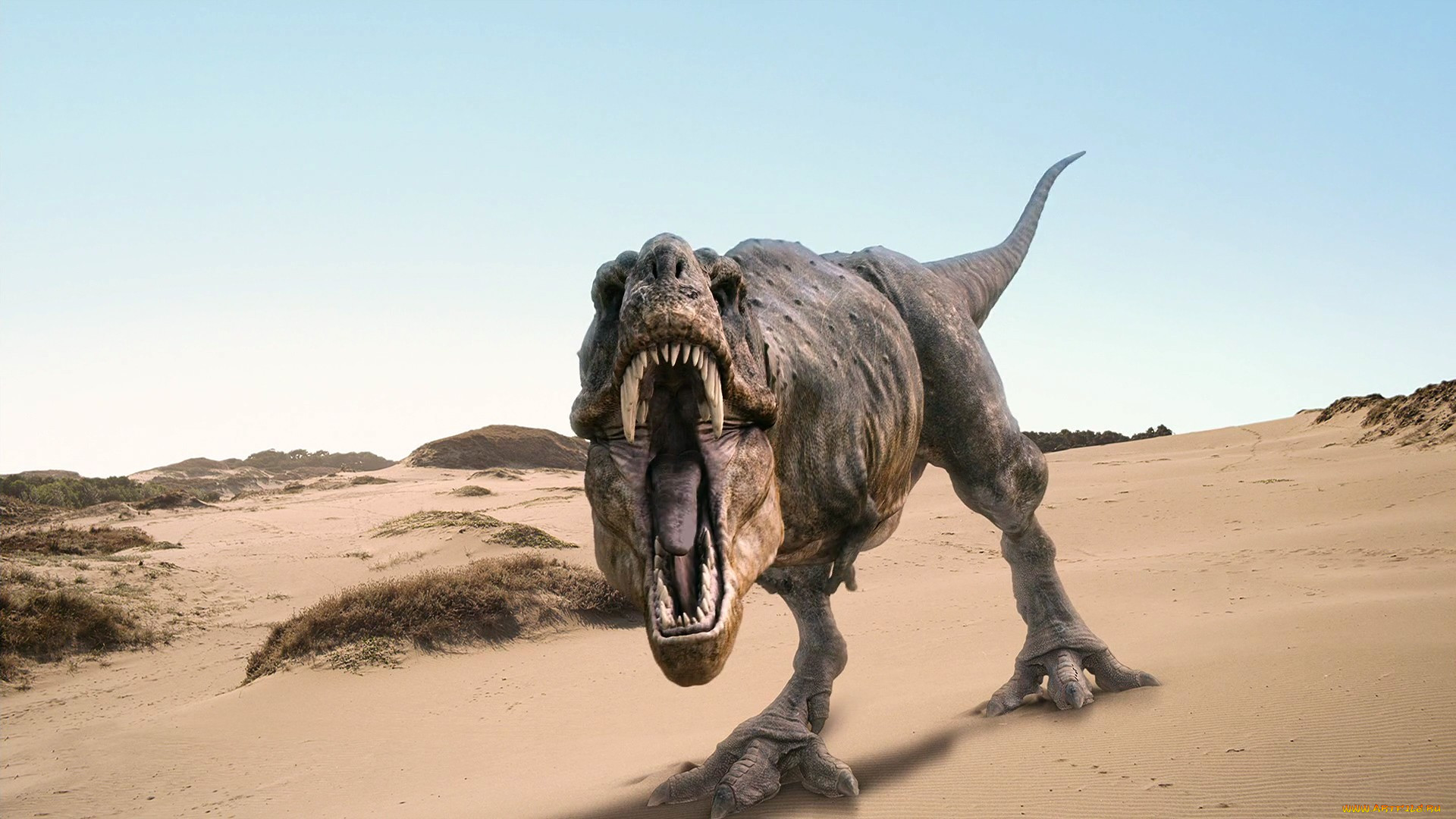 tyrannosaurus, rex, 3, , animals, , , 